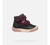 GEOX Schuhe Omar Baby Schwarz/duneklviolett 24