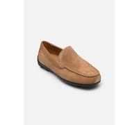 Geox - Slipper U SPHERICA EC16 A - Grün - Größe 43