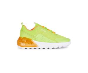 Geox Sneakers "Activart" in Grün - Größe 31 | Kindersneakers