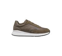 Geox Sneakers "Branthon" in Khaki - Größe 40 | Herrensneakers