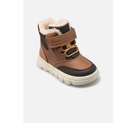 GEOX Schuhe Willaboom Abx Kleinkind Junge Tabak/dunkelbraun 25
