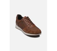 Geox Avery Turnschuhe Ohne Schnürsenkel EU 41 Brown Cotto