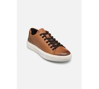 Geox - U DEIVEN A - Braun - Sneaker - Größe 45