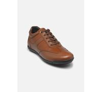 Geox - U EDGWARE A - Braun - Sneaker - Größe 42