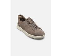 Geox - U FLEXTRIDE PLUS A - Grau - Sneaker - Größe 41