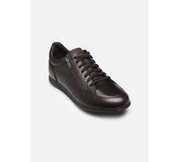 Geox - U RENAN A - Braun - Sneaker - Größe 42