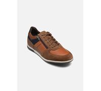 Geox MAN U Renan Thin Sole BROWNCOTTO/Navy 41_EU