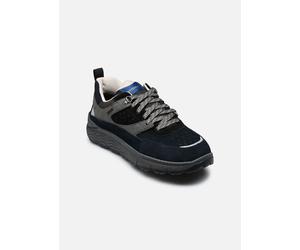 Geox - U SPHERICA 4X4 B ABX LOW - Grau - Sneaker - Größe 45