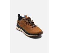 Geox - U SPHERICA ACTIF X2 1 - Braun - Sneaker - Größe 43