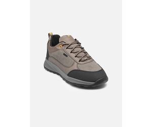Geox - U TERRESTRE B ABX A - Grau - Sneaker - Größe 42