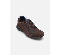 Geox - UOMO SNAKE - Braun - Sneaker - Größe 47