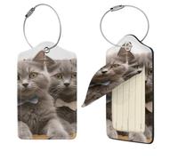 Gepäckanhänger aus Leder für Koffer, lustige Katzen, Gepäckanhänger, Lederkofferanhänger, Identifikatoren mit Privatsphäre, Name, Adress-Etiketten und Stahlschlaufe für Damen, Herren, Reisetasche,