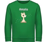 Geschenk mit Namen personalisiert by Shirtracer Sweater Kinder Sweatshirt Jungen Mädchen Pullover - Süße Giraffe Giraffen Giraffenbulle Giraffenmotiv - 104 (3/4 Jahre) - Grün - Name und Einer