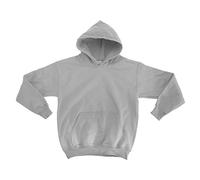 Gildan Kinder Unisex Sweatshirt mit Kapuze (XS) (Aschgrau)