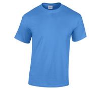 Gildan Kinder Unisex T-Shirt mit Rundhalsausschnitt, kurzärmlig (XL) (Wasserblau)