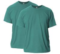 Gildan Unisex-Erwachsene Ultra Cotton, Style G2000, Multipack T-Shirt, Blickdicht, Jade Dome (2er-Pack), M