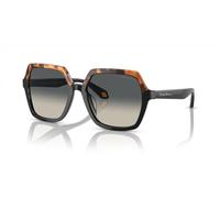 Giorgio Armani 0AR8193U Sonnenbrille, Damen, mehrfarbig (mehrfarbig), Einheitsgröße