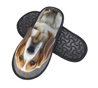 GlbnSHeric Fuzzy Hausschuhe für Herren und Damen, rutschfeste Plüschschuhe, Basset Hound Hausschuhe, Schaumstoff-Hausschuhe, Schwarz , Einheitsgröße