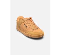 Globe Tilt Skateschuhe honey / gum Gr. 9.0