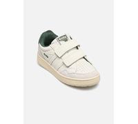Gola - Kid's Eagle Strap - Sneaker, Gr. 32, beige (Off-White/Evergreen)