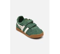 Gola Sneaker Harrier VC Velcro grün/oliv (Evergreen/Off-White) Gr. 32