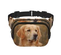 Golden Retriever Bauchtasche für Damen, wasserdicht, verstellbar, Hüfttasche, modisch, lässig, Crossbody-Tasche, Bauchtasche für Laufen, Workout, Wandern, Reisen, Schwarz, Einheitsgröße, Schwarz ,