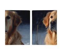 Golden Retriever Reisepasshülle, Reisepasshülle mit Kreditkartenfächern und Bordkartenfach für Reisen, Familienausweis, Dokumenten-Organizer (20,3 x 13,7 cm)