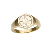 Goldring FIRETTI "Schmuck Geschenk Gold 333 Siegelring Kompass, edel, tlw. rhodiniert" Gr. 16, silber (gelbgoldfarben, weißgoldfarben), Fingerringe, Damen, 16, Gelbgold 333, 3mm, Goldring (95917759-16