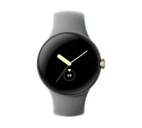 GOOGLE Pixel Watch LTE Smartwatch Edelstahl Fluorkautschuk, 130-210 mm, Champagne Gold/Hazel