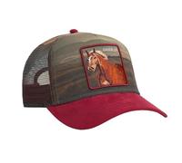 Goorin Bros. Trucker Cap Stallion In The Element Crush