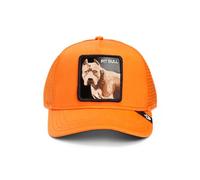 Goorin Bros. Trucker Cap The Dog Pitbull Orange Orange, Size:OneSize