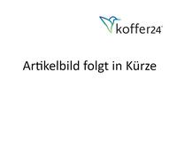 Daypack 2.0 monochrome red sand