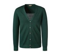 Gran Sasso Cardigan Herren Regular Fit V-Ausschnitt Schurwolle grün, 52 (L)