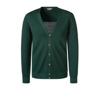 Gran Sasso Cardigan Herren Regular Fit V-Ausschnitt Schurwolle grün, 56 (XXL)