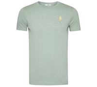 GREENBOMB Bio-Herren-T-Shirt 'Lifestyle Boulderer' mit Rundhalsausschnitt, soft sage, Gr.M