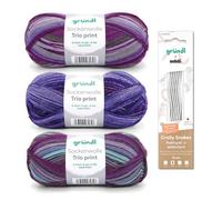 Gründl Sockenstrickset Sockenwolle Trio 3 Knäuel 100 g, violett-lila + Gründl Wolle addi CraSy Snakes Nadelspiel 15 cm 2,50 mm