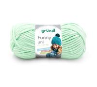 Gründl Funny uni Strick- & Häkelgarn (samtartiges Chenille-Garn aus 100% Polyester, 100 g / 120 m, Nadelstärke: 5-6, 1 x 100 g), pastellgrün