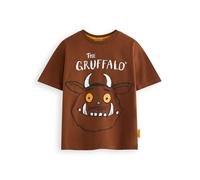 Gruffalo The Freunde Jungen T-Shirt | T-Shirt mit Woodland Creature Storybook-Grafik für Kinder in Braun | Julia Donaldson Story Tale Book Apparel Top