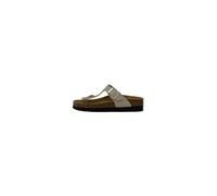 Grunland CC2432 HOLA 40