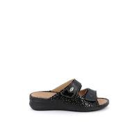 Grunland CE0256 DAMI 41