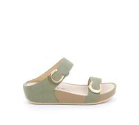 Grunland CI2577 Oliva 37