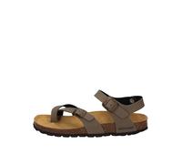 Grunland SB0004 SARA 40