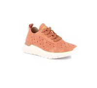Grunland SC6185 Pesca 36