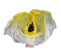 GSCLZ Schals Frauen Bauchtanz Seidenschleier Bauchtanz Schleier Halbrund (Color : As picture-16, Size : 250cm 114cm)