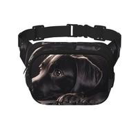 Gürteltasche für Damen, Motiv: schwarzer Labrador, wasserdicht, verstellbar, modisch, lässig, Crossbody-Tasche, Bauchtasche für Laufen, Workout, Wandern, Reisen, Schwarz, Einheitsgröße, Schwarz ,