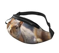 Gürteltasche für Damen und Herren, verstellbare Hüfttasche, Eichhörnchen, einfach überall hinlegen, Gürteltasche, Hüfttasche