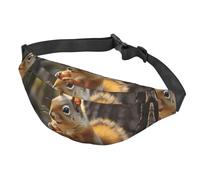 Gürteltasche für Damen und Herren, verstellbare Hüfttasche, süßes Eichhörnchen, das Nüsse isst, Crossbody-Tasche für Reisen, Schwarz, Einheitsgröße, Schwarz , Einheitsgröße