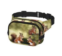 Gürteltasche für Herren und Damen, Crossbody-Gürteltasche, niedliche Eichhörnchen, Bauchtasche, Bauchtasche, Schwarz, Einheitsgröße, Schwarz , Einheitsgröße