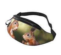 Gürteltasche, verstellbare Hüfttasche, niedliche Eichhörnchen, Crossbody-Tasche, Gürteltasche für Männer und Frauen