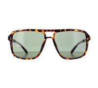 Guess Aviator Unisex Dunkel Havanna Grün GF5085 Einheitsgröße